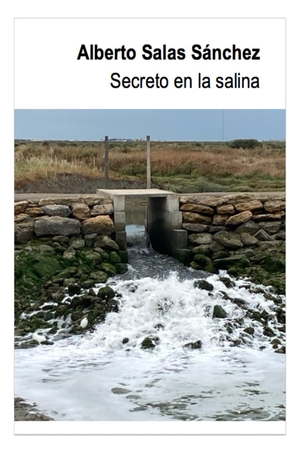Secreto en la salina book