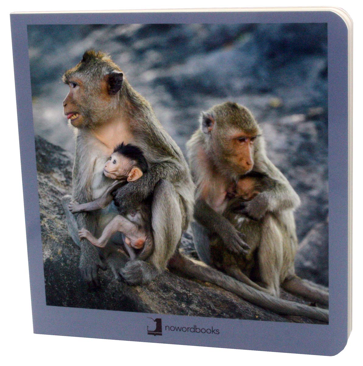 Animales en Familia 2 book