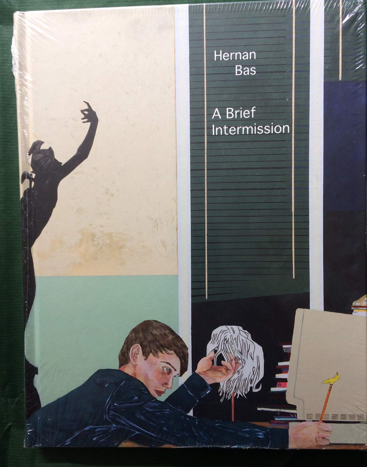 Hernan Bas: A Brief Intermission Photography