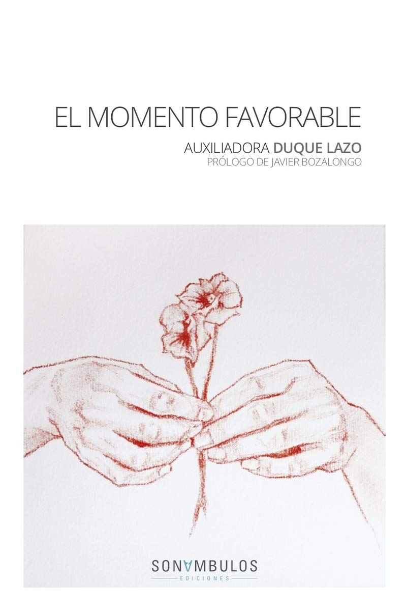 EL MOMENTO FAVORABLE (MACASAR, Band 4) Living & Furnishing