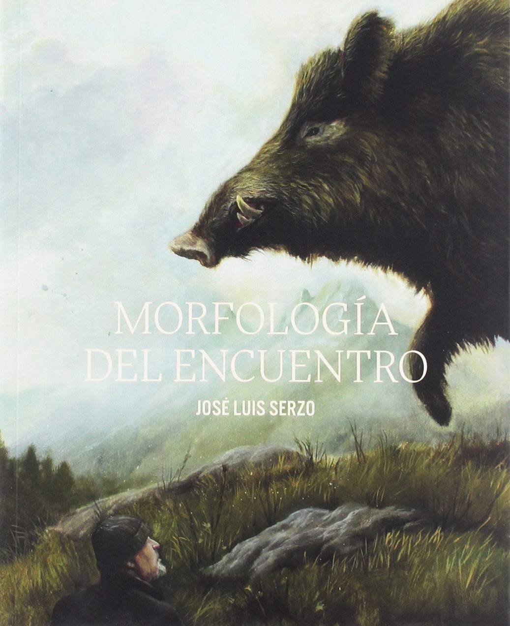 Morfología del encuentro: José Luis Serzo book