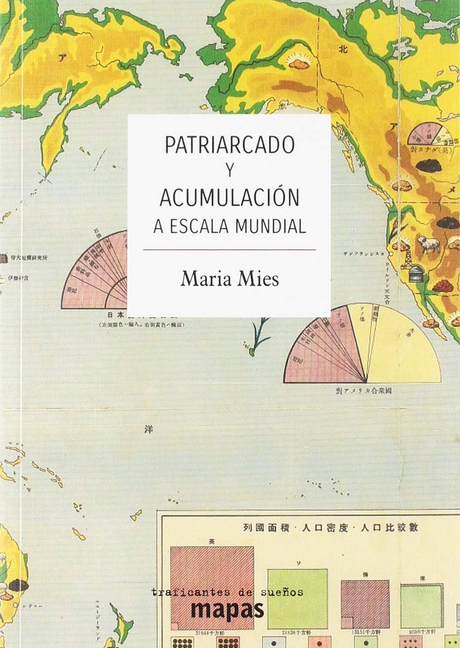 PATRIARCADO Y ACUMULACIÓN A ESCALA MUNDIAL book
