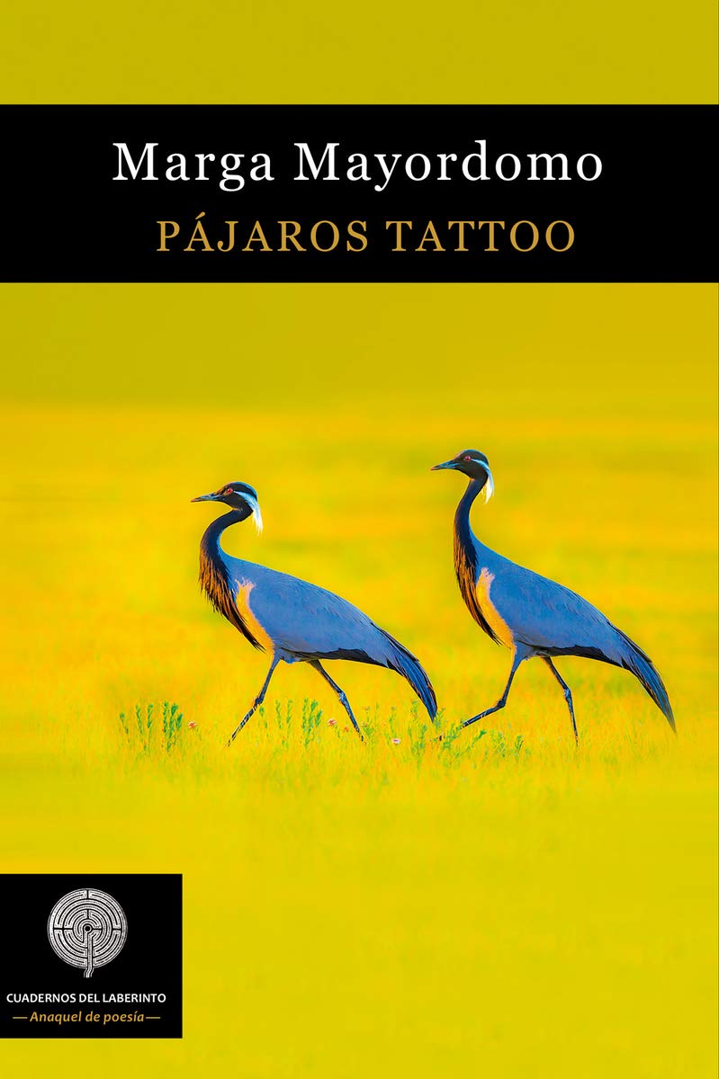 Pájaros tattoo (COLECCIÓN ANAQUEL DE POESÍA, Band 88) Non-fiction