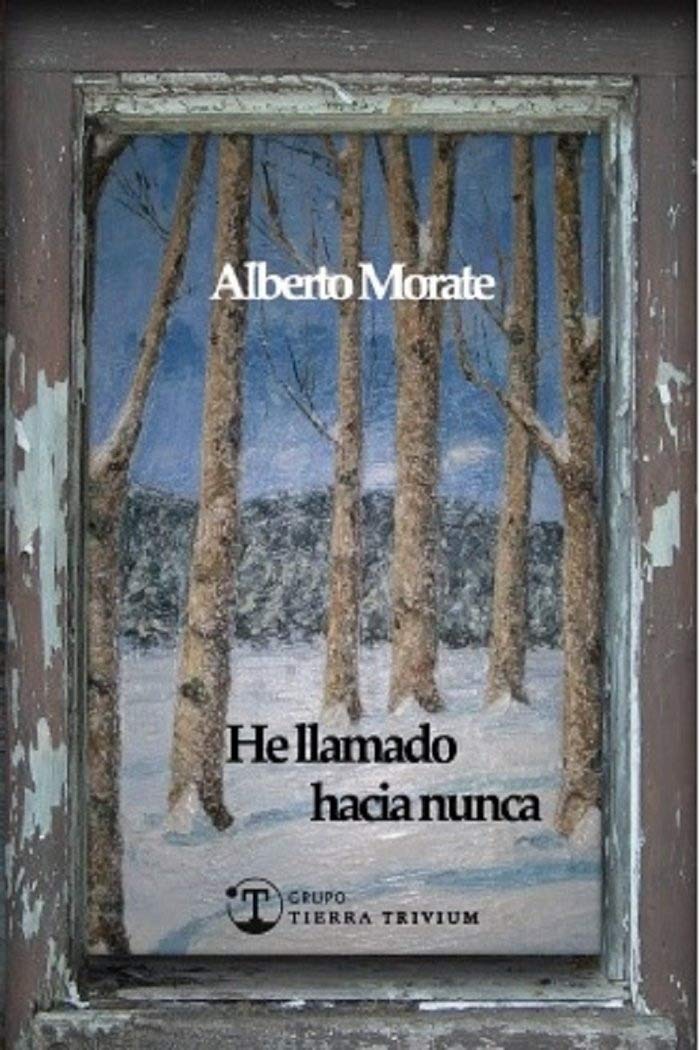 He llamado hacia nunca (TIERRA POETICA, Band 5) Books