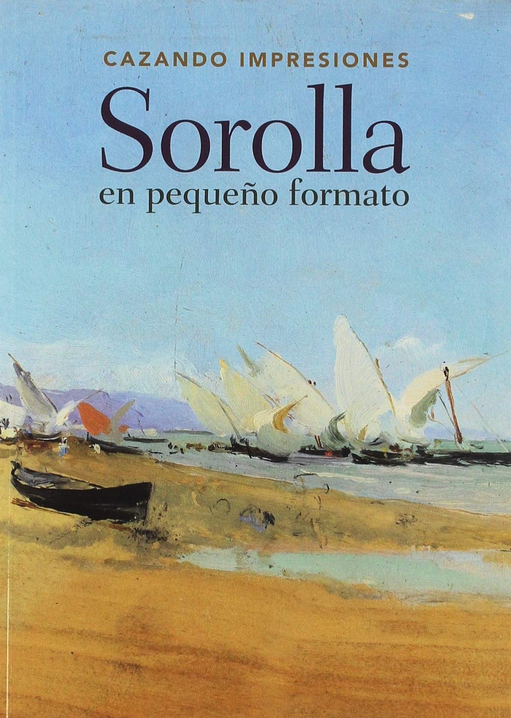 Sorolla en pequeño formato Learning & Reference