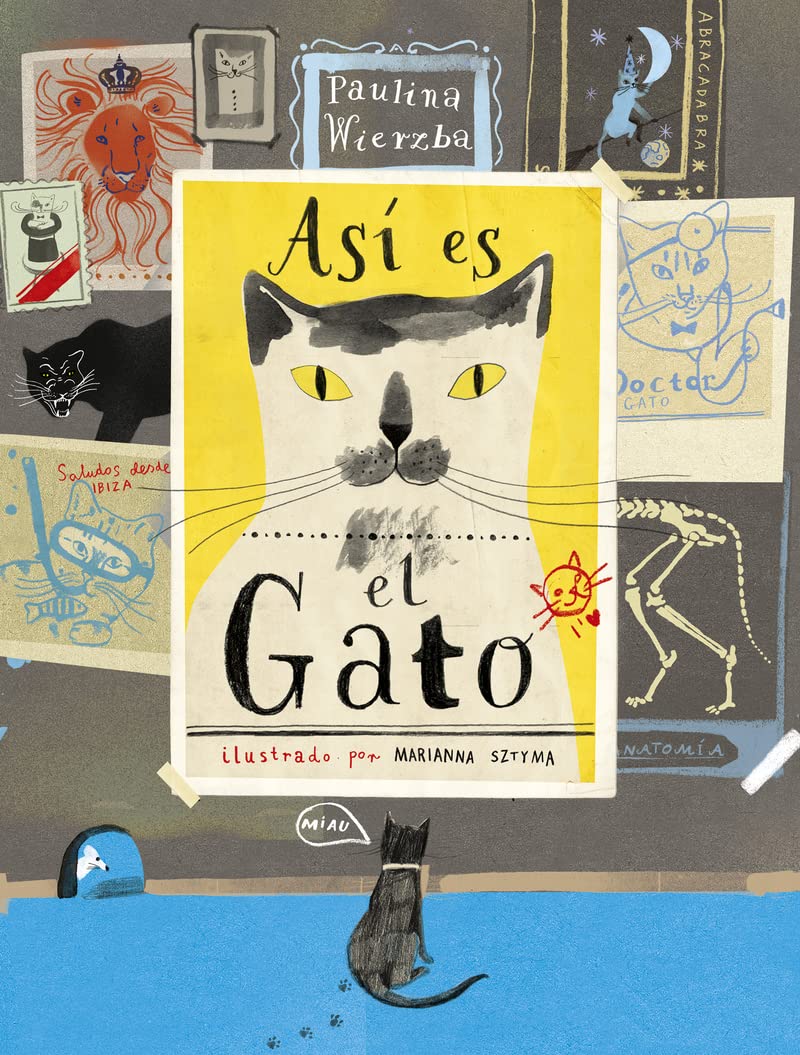Así es el gato (Colección Gatos) Young adult books