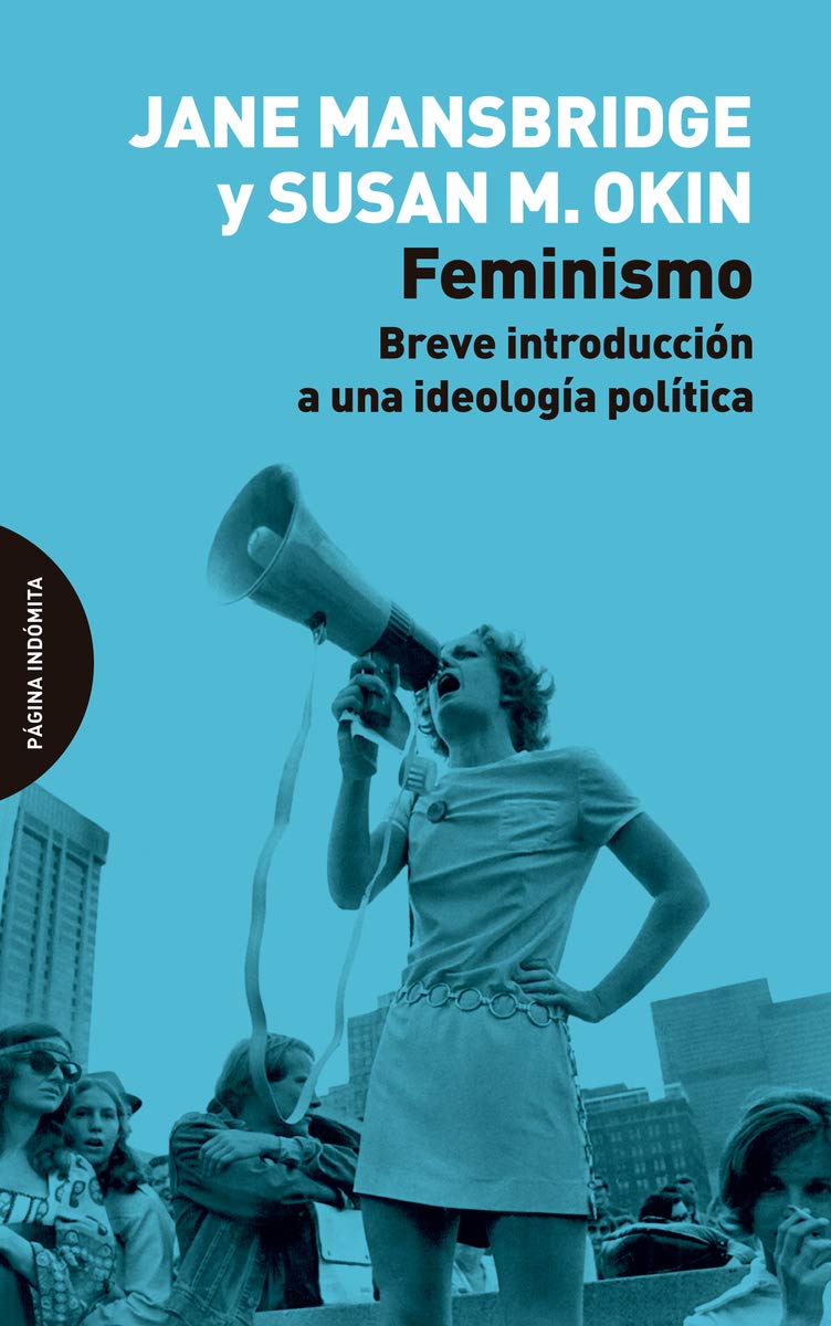Feminismo : breve introducción a una ideología política Books