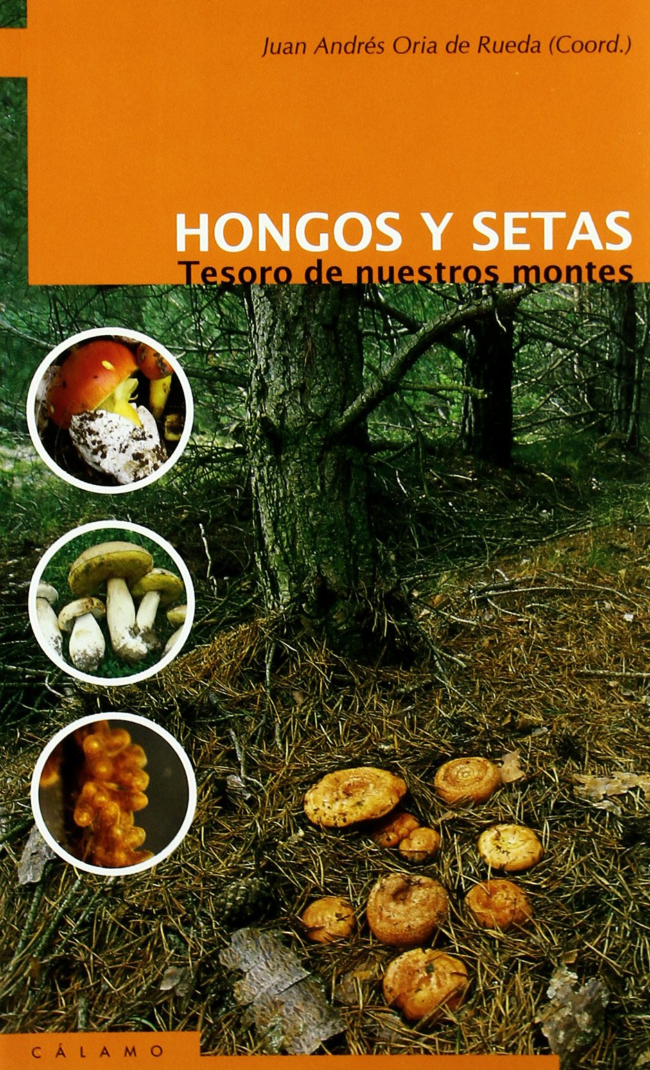 Oria de Rueda Salguero, J: Hongos y setas : tesoros de nuest Learning & Reference