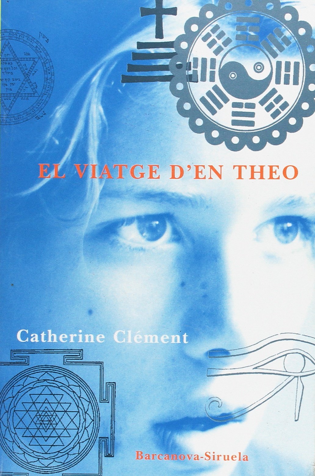 El viatge d'en Teo / Teo's Journey book
