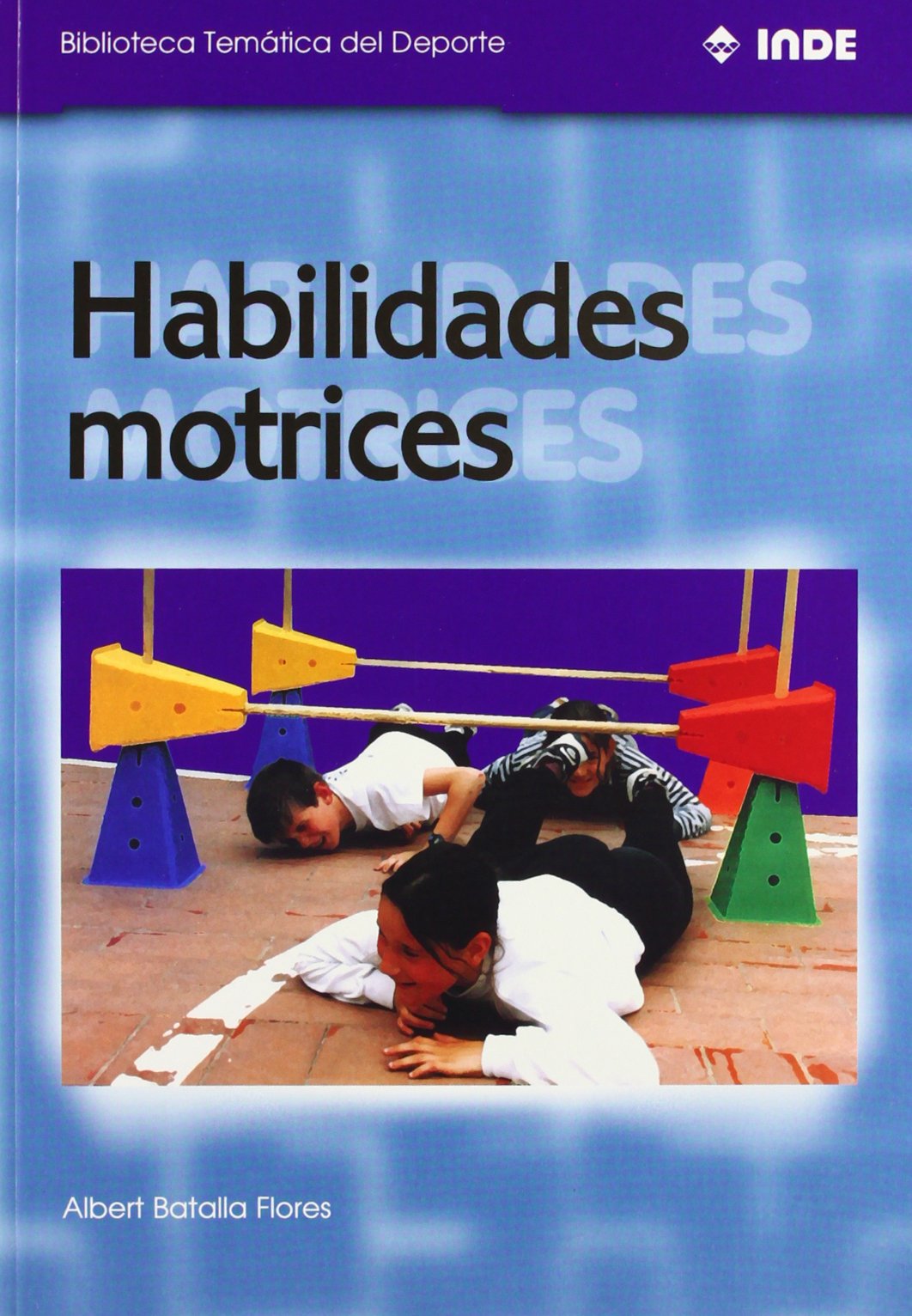 Habilidades motrices (Biblioteca Temática del Deporte, Band 557) Leisure & Fun