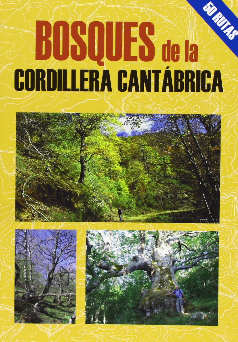 Bosques de la cordillera Cantábrica Learning & Reference
