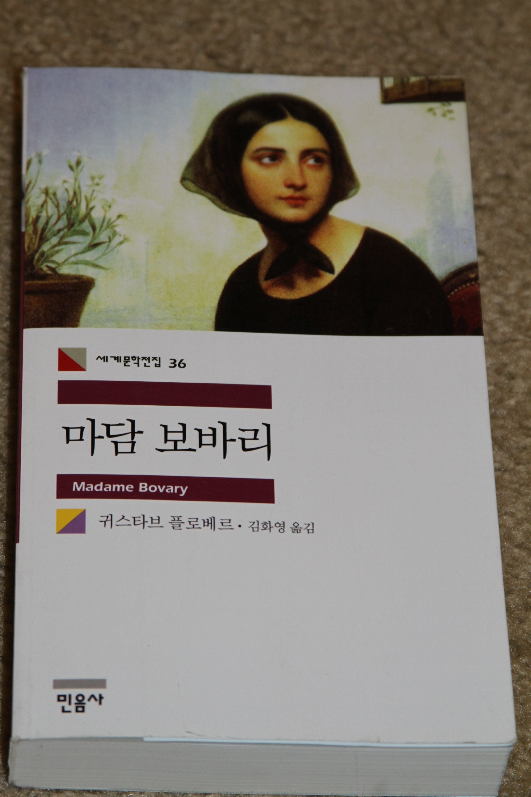 Product Image: Madame bovary