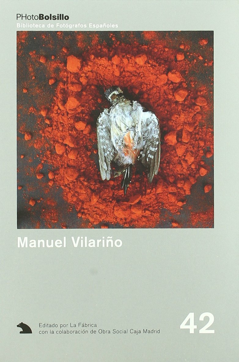 Manuel Vilariño: Desde la sombra (PHOTOBOLSILLO) Social Sciences