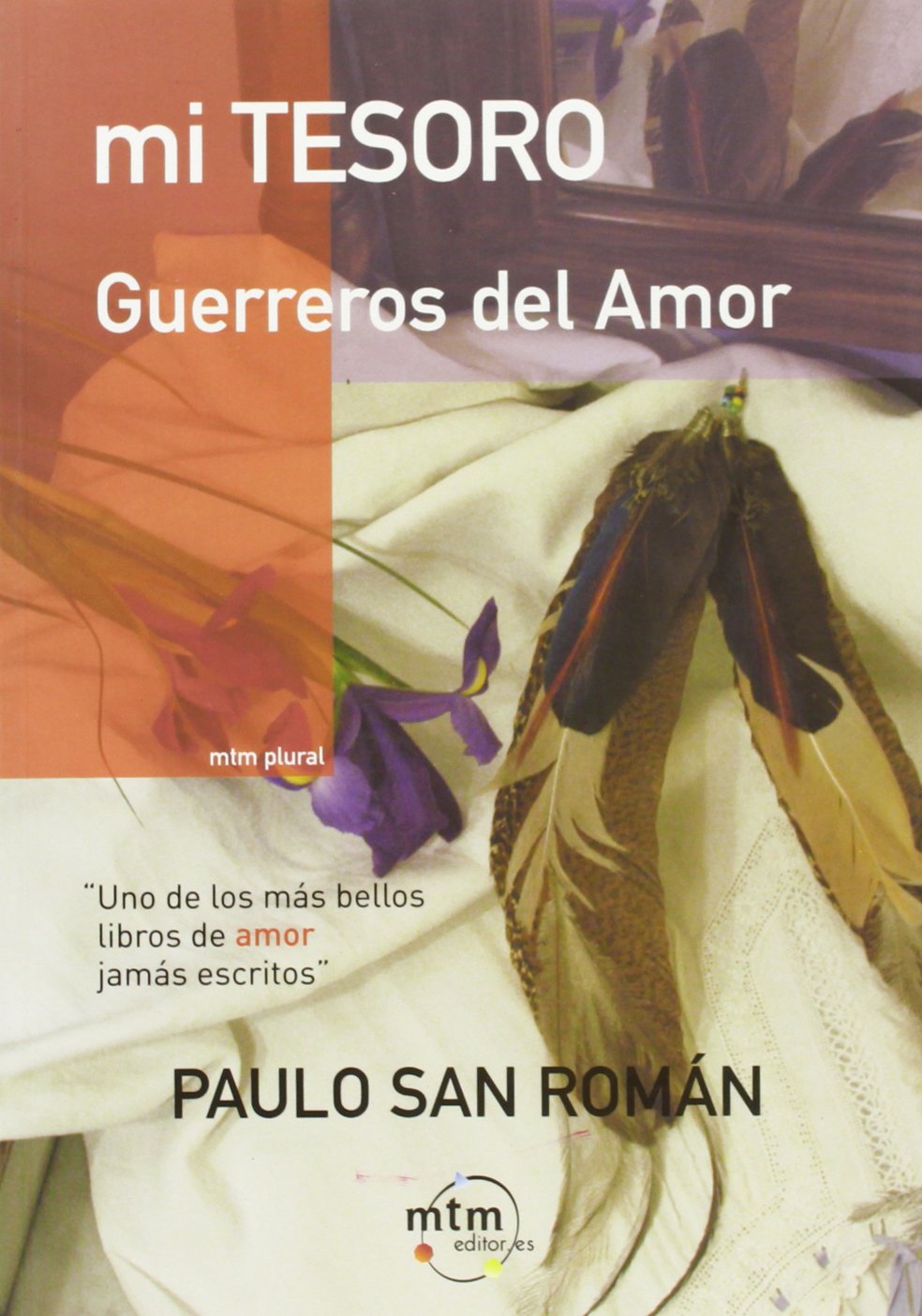 Mi tesoro : guerreros del amor (Mtm Plural) Contemporary literature