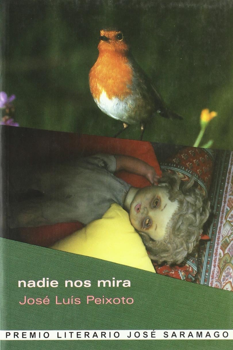 Nadie nos mira book