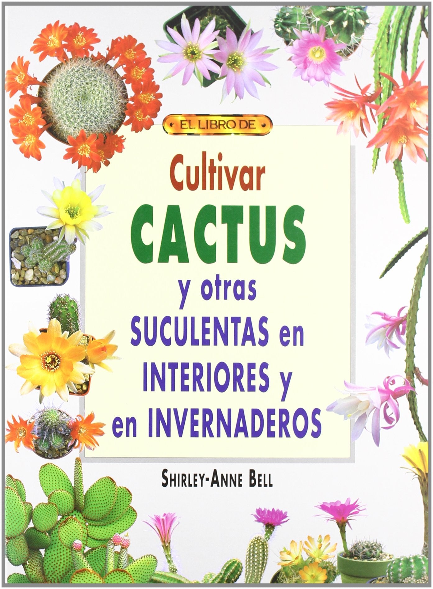 Cultivar cactus y otras suculentas en interiores e invernaderos book