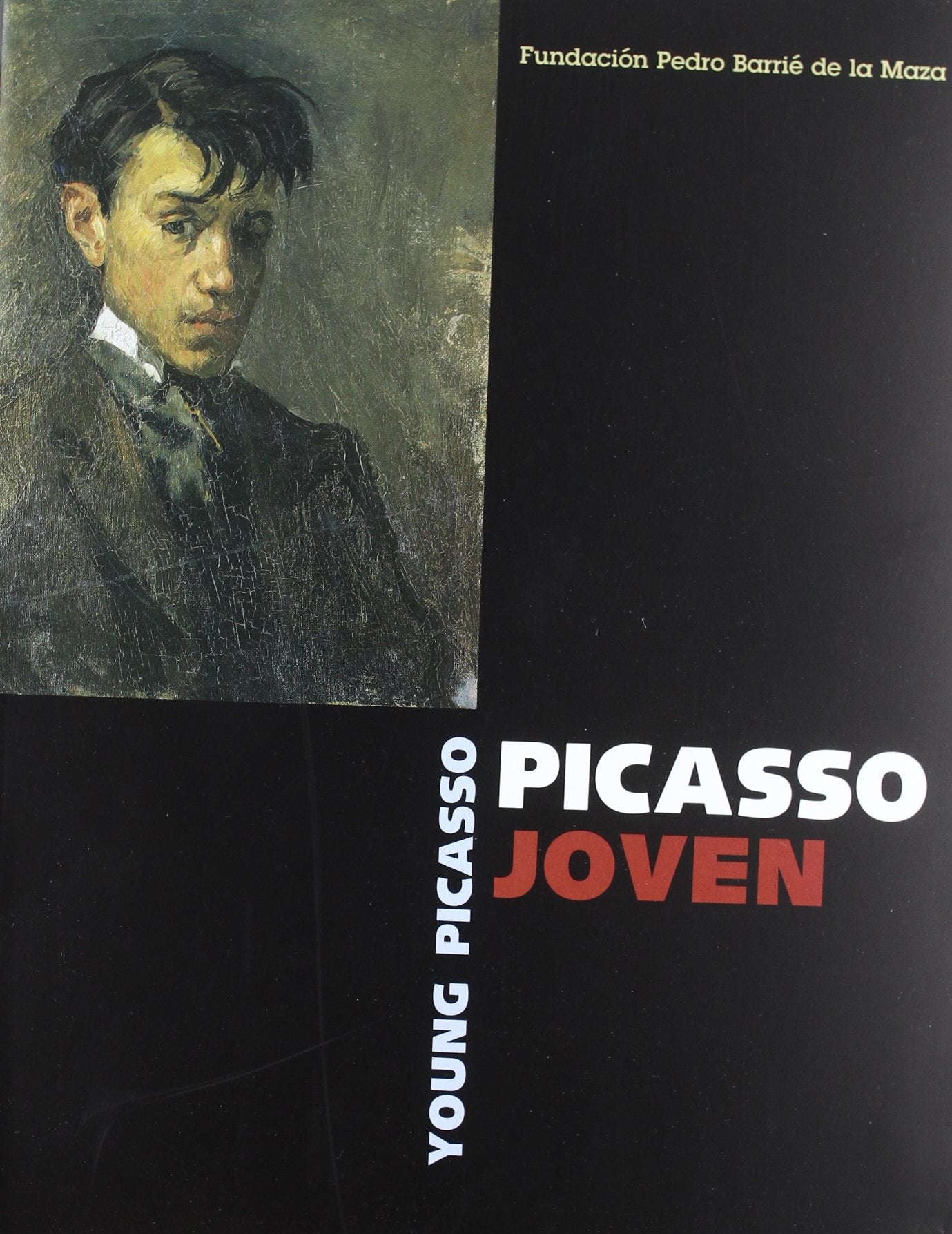 Picasso joven = Young Picasso Learning & Reference