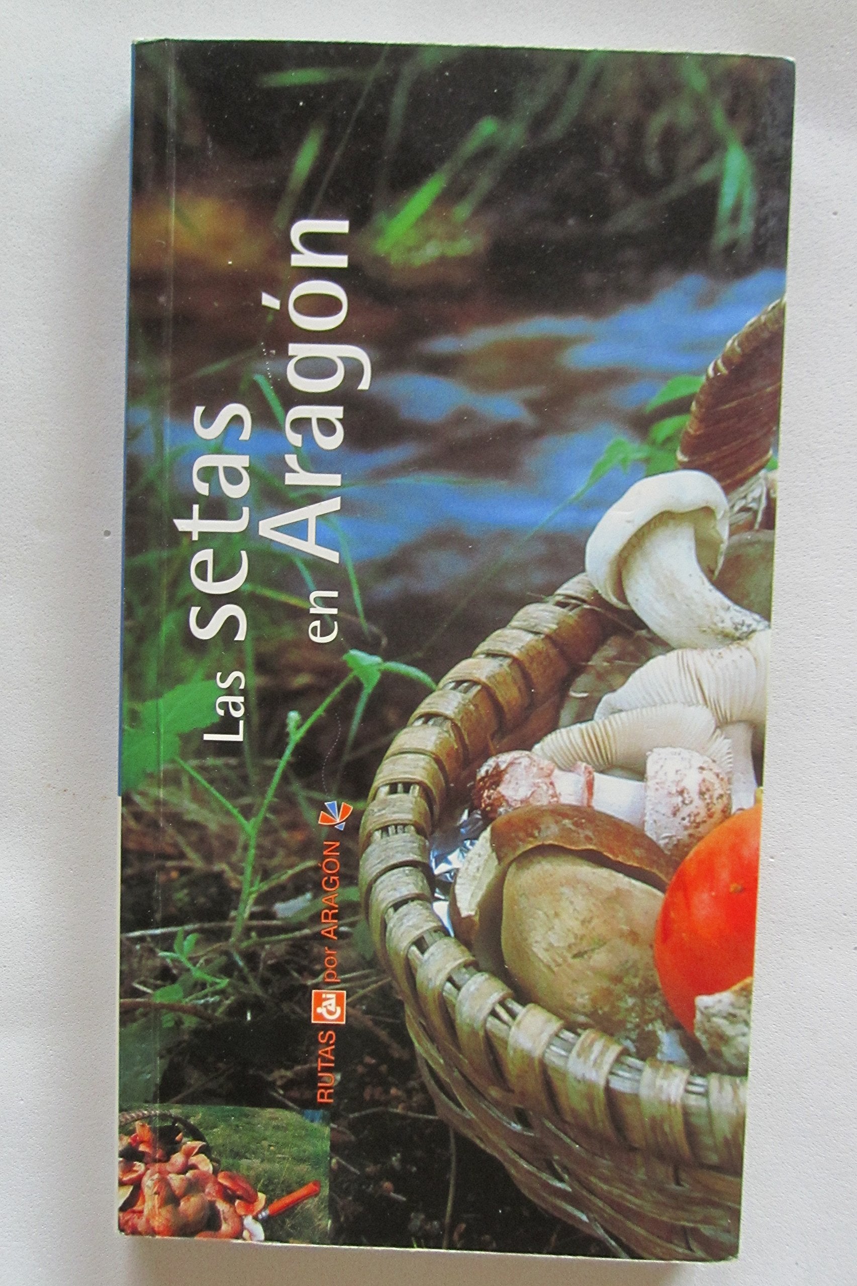 Las setas en Aragón Rutas por Aragón book