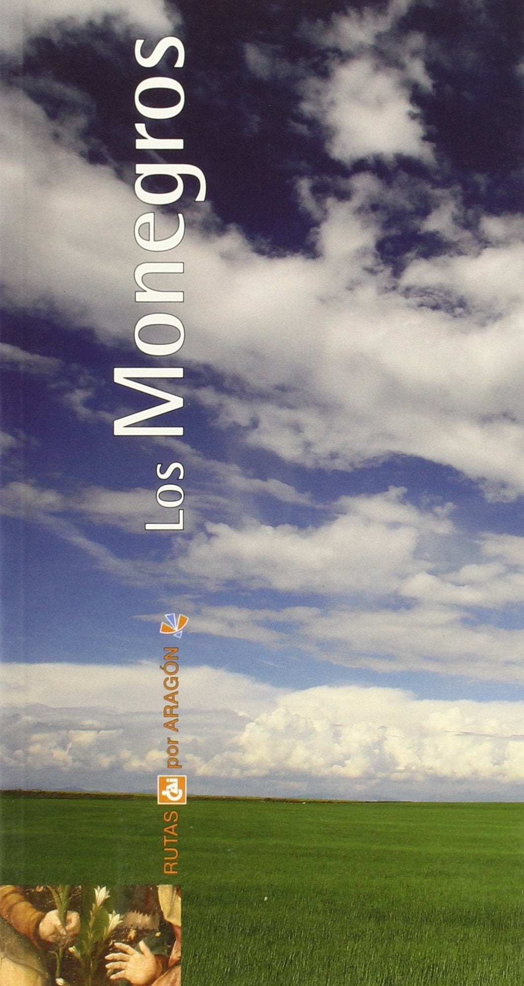 Monegros, Los - Rutas Cai Por Aragon Books