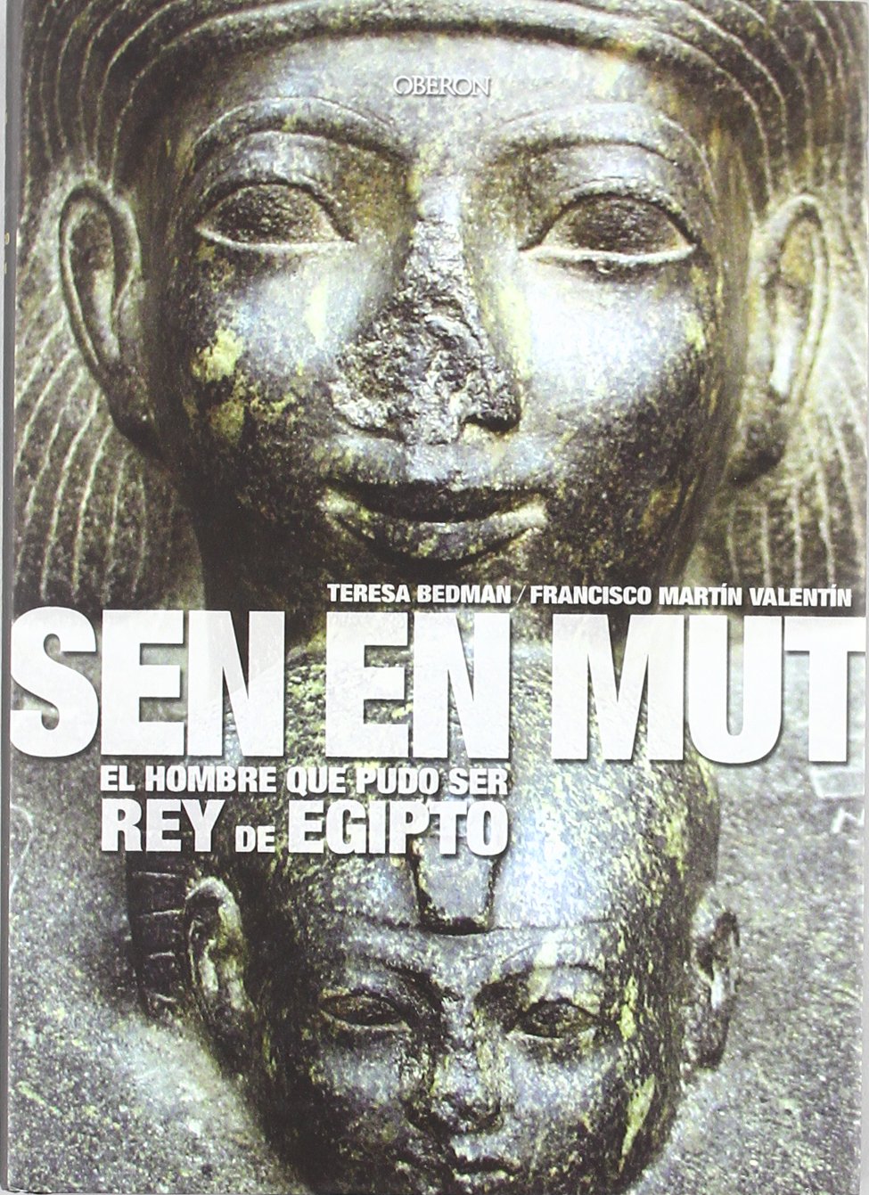 Sen En Mut : el hombre que pudo ser rey de Egipto (Historia) Social Sciences
