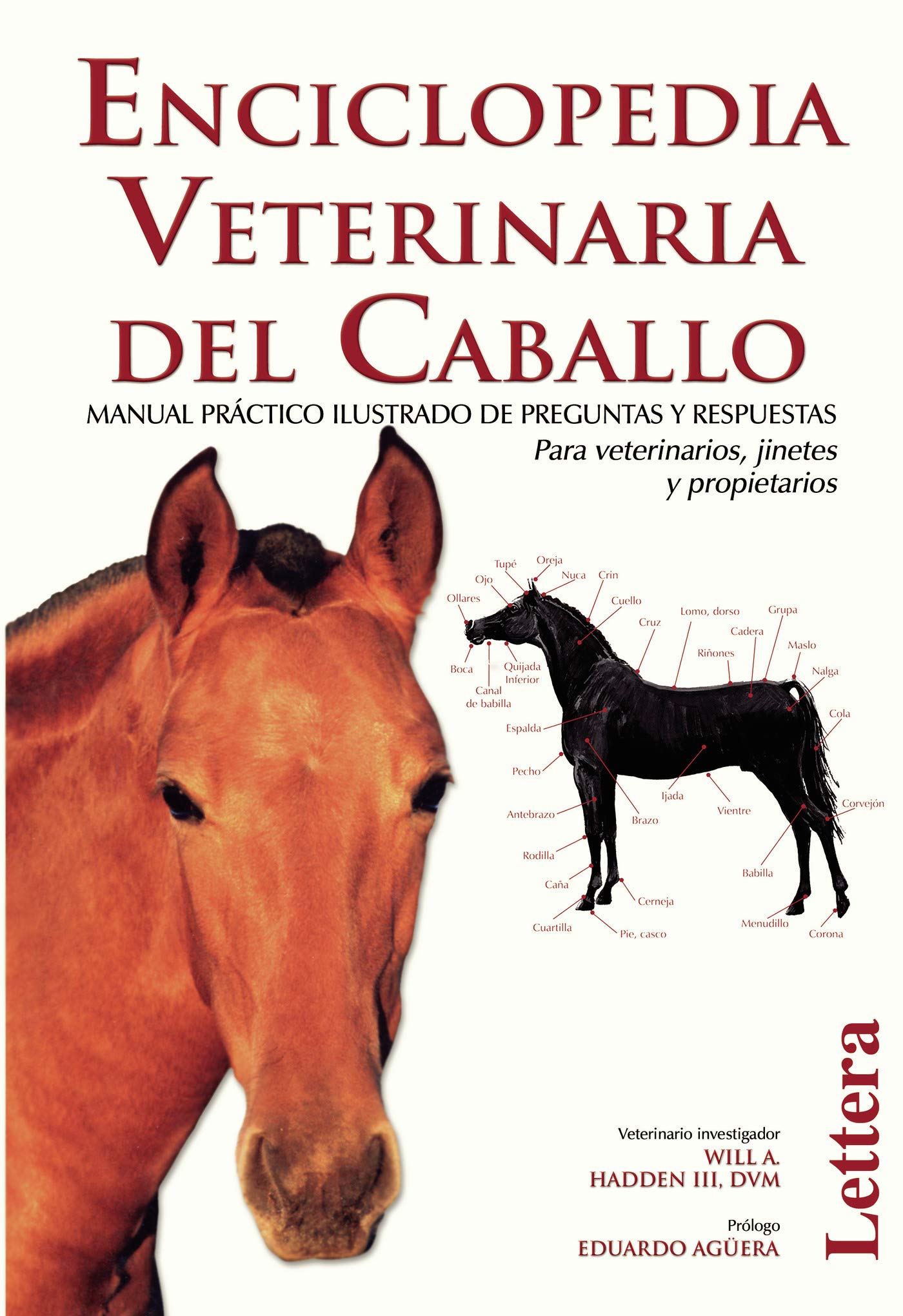 Enciclopedia veterinaria del caballo book
