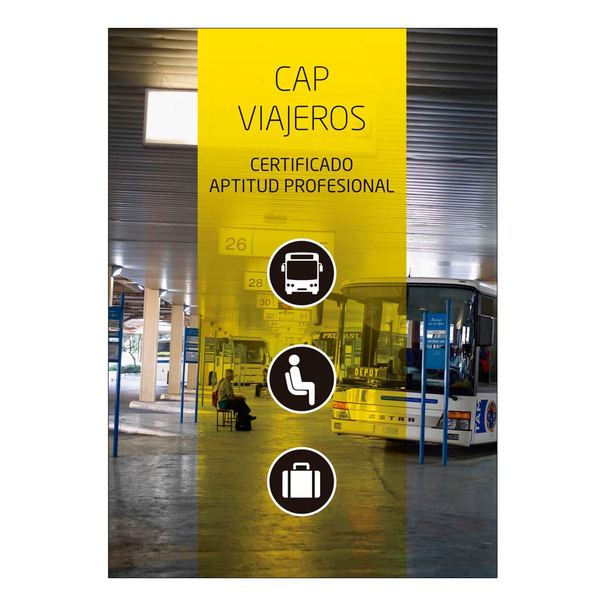 Manual Certificado Aptitud Profesional CAP Específico Viajeros. ROTT 2019 (Reglamento de la Ley de Ordenación de los Transportes Terrestres) Ed. Ene 2020 Books