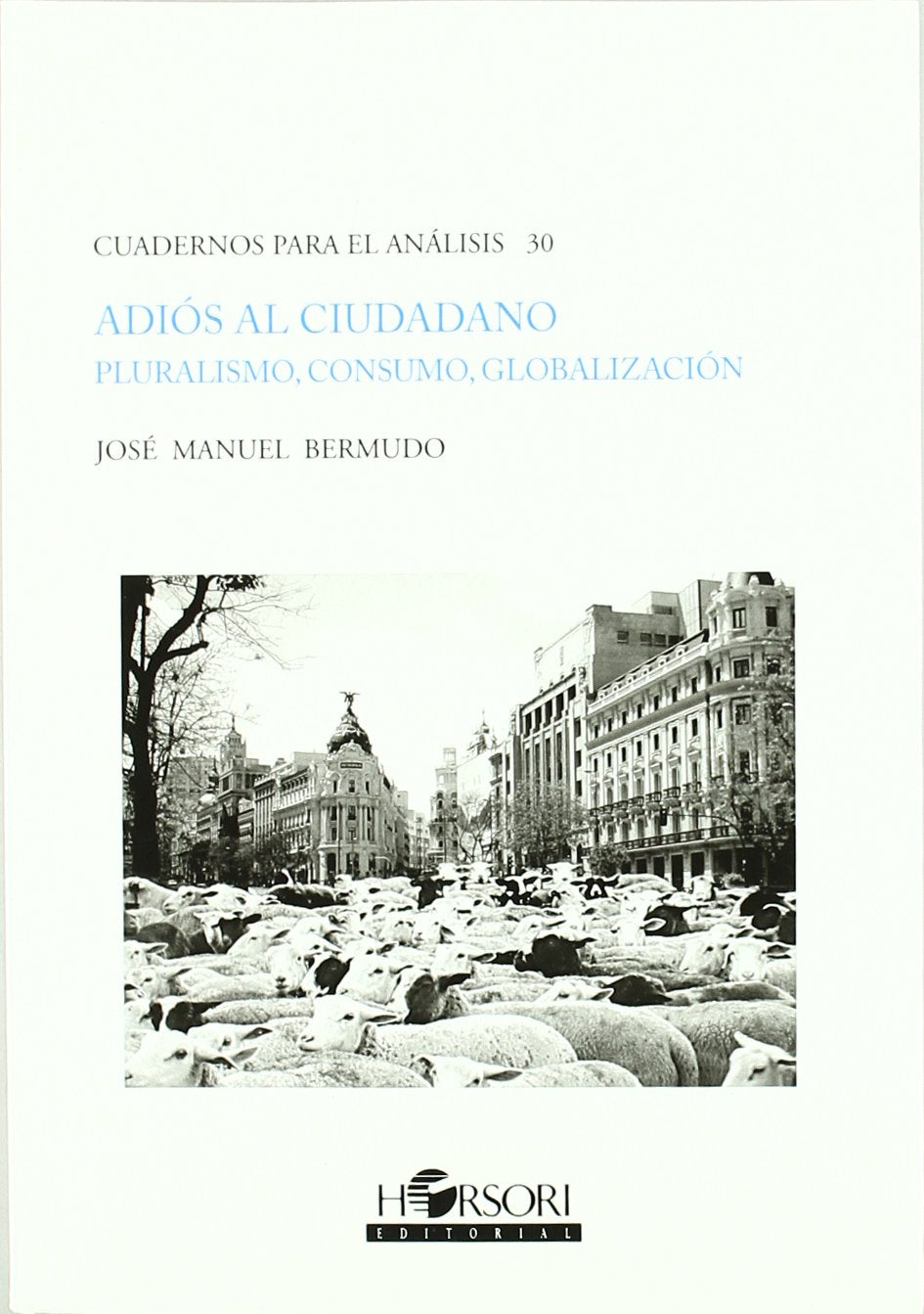 Adiós al ciudadano.: Pluralismo, consumo, globalización book