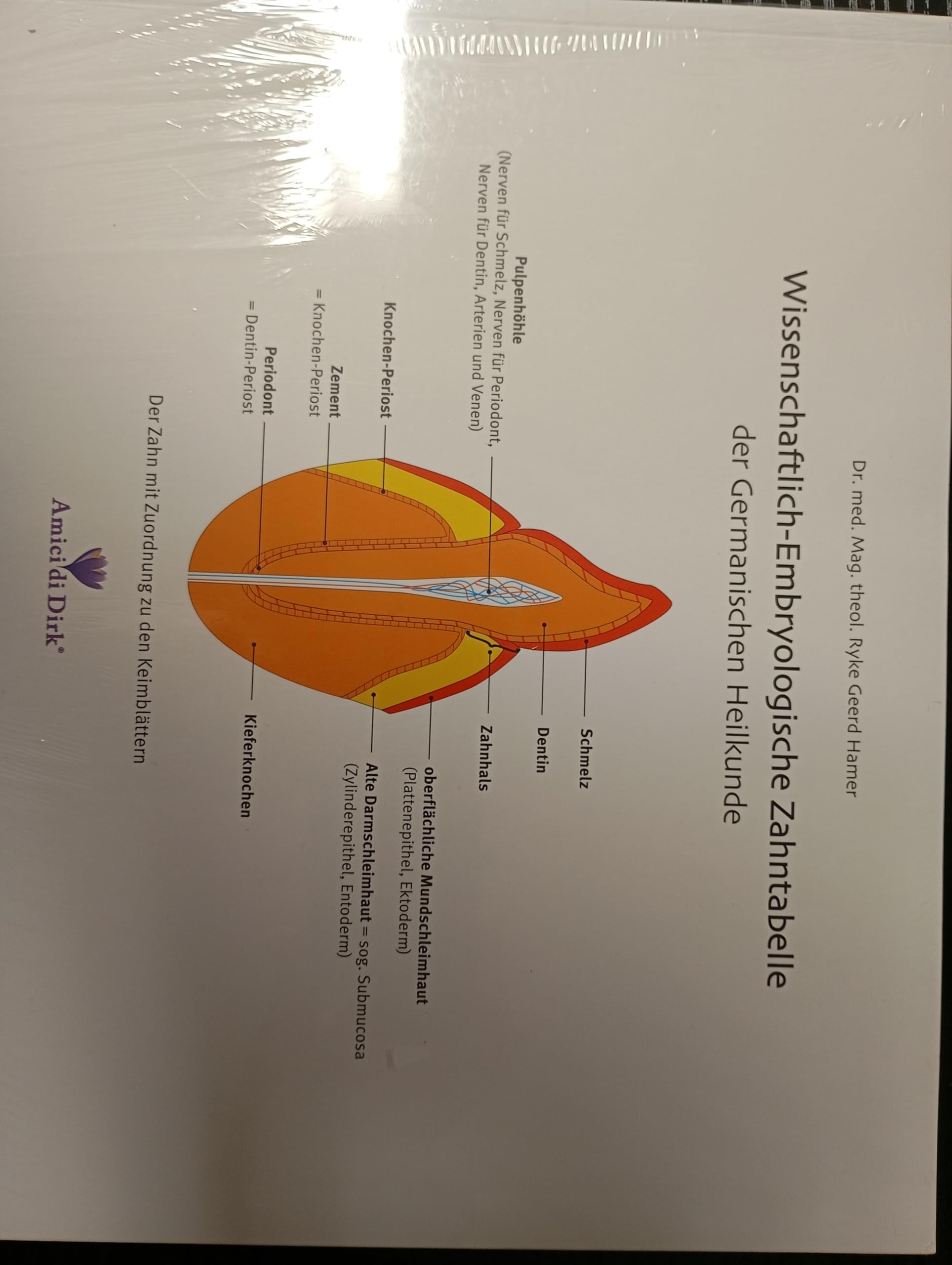 Wissenschaftlich-Embryologische Zahntabelle der Germanischen Heilkunde Books
