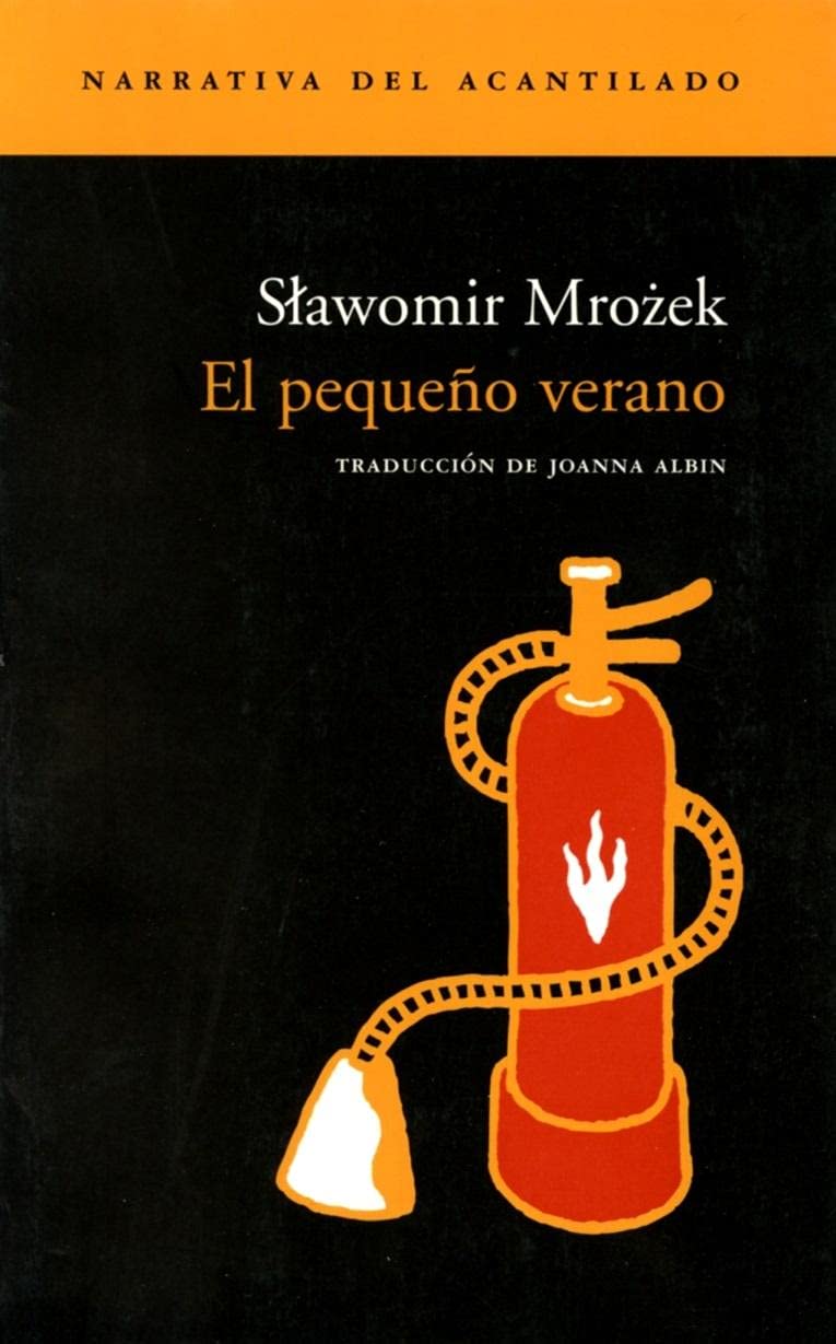 El pequeño verano Contemporary literature