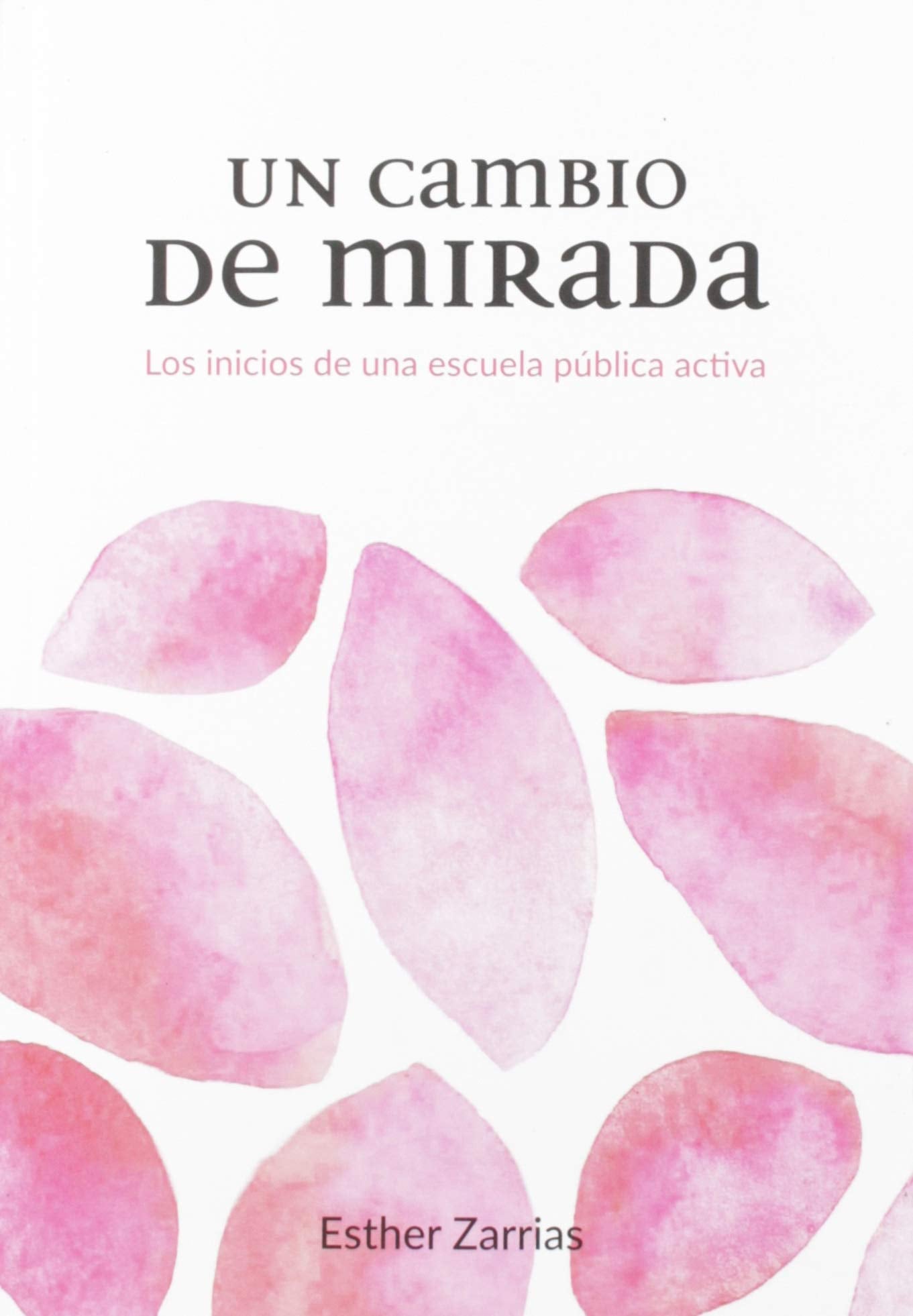 Un cambio de mirada: Los inicios de una escuela pública activa book