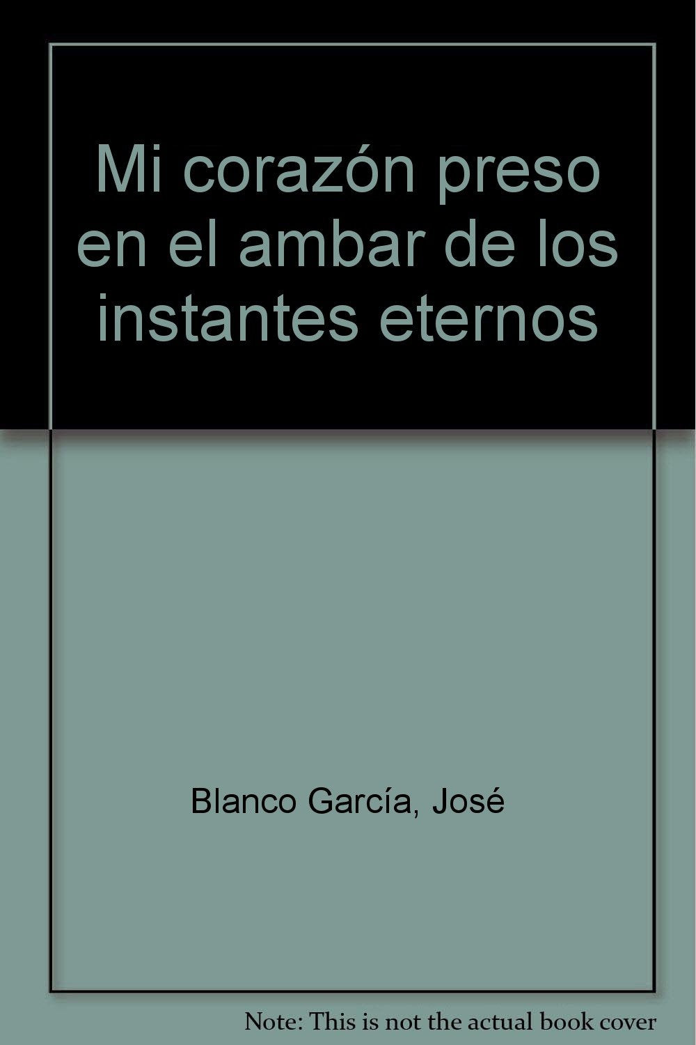 Mi corazón preso en el ambar de los instantes eternos (Poesía, Band 34) Non-fiction