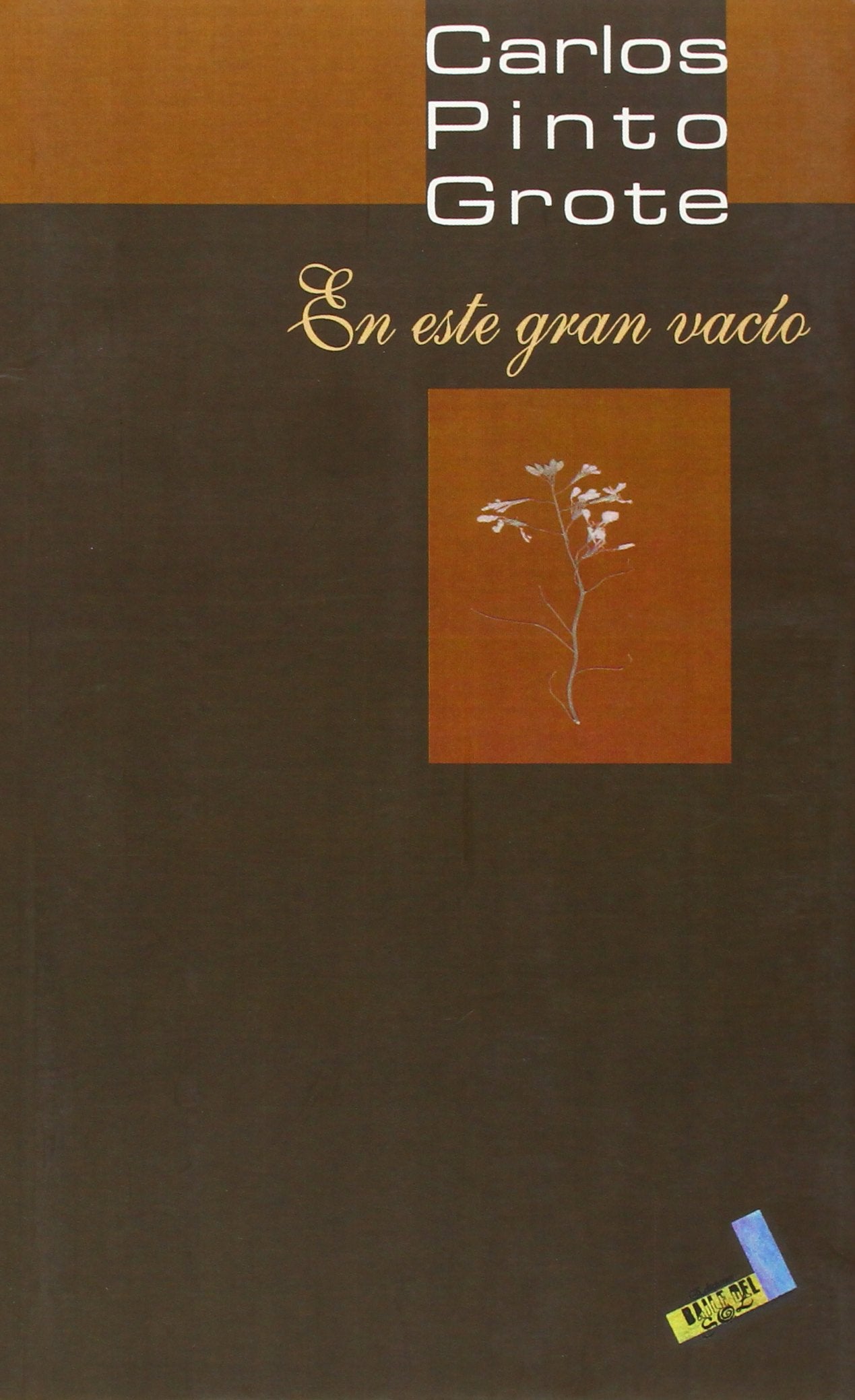 En este gran vacío (Biblioteca Pinto Grote, Band 7) Non-fiction