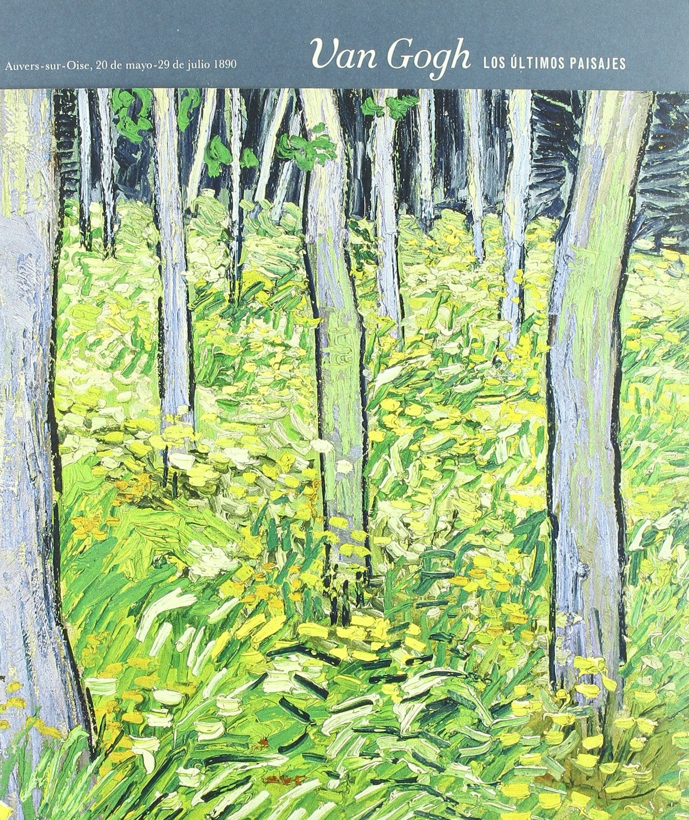 Van Gogh, Los últimos paisajes Learning & Reference