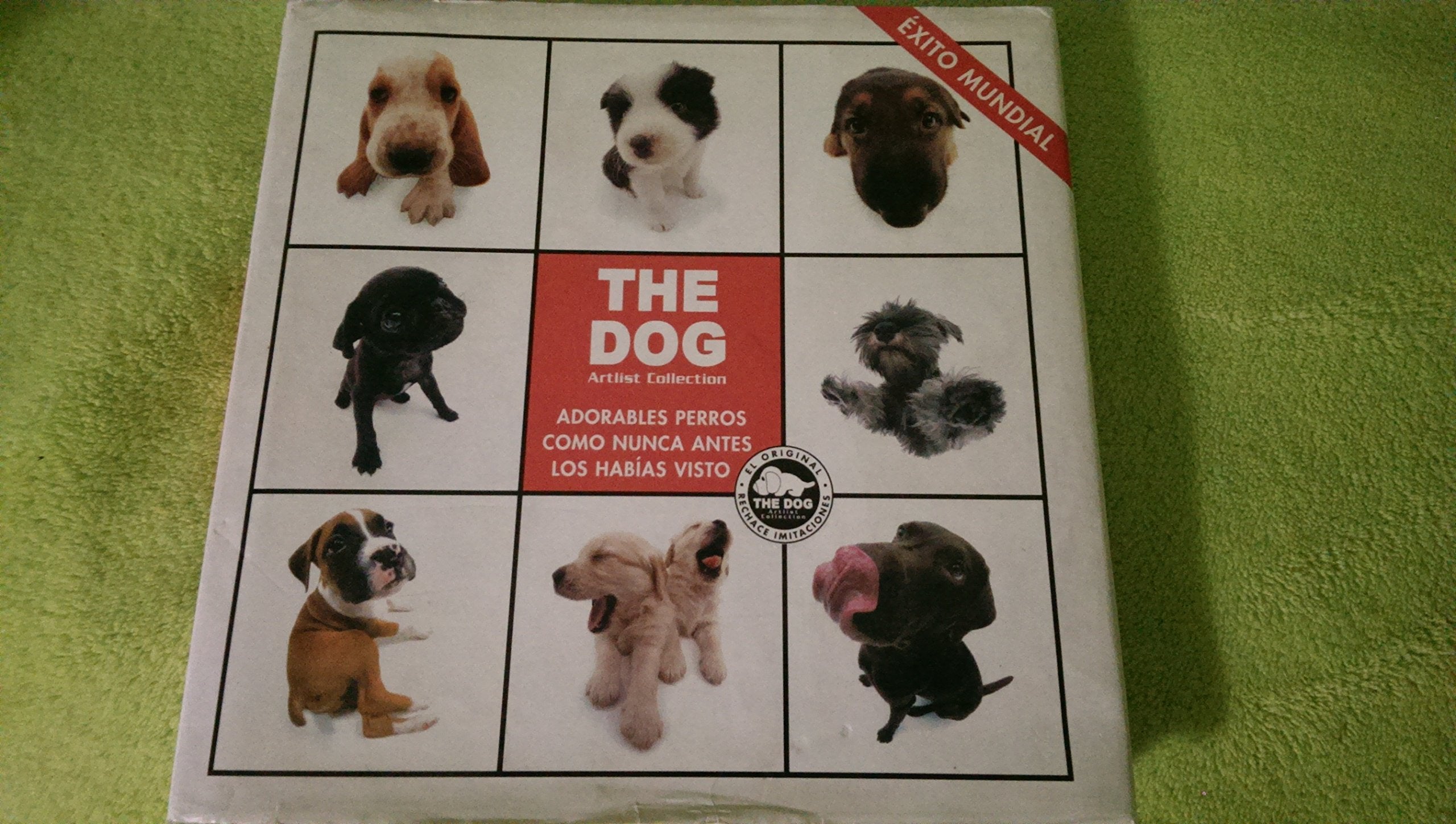 Adorables perros como nunca antes los habías visto Books