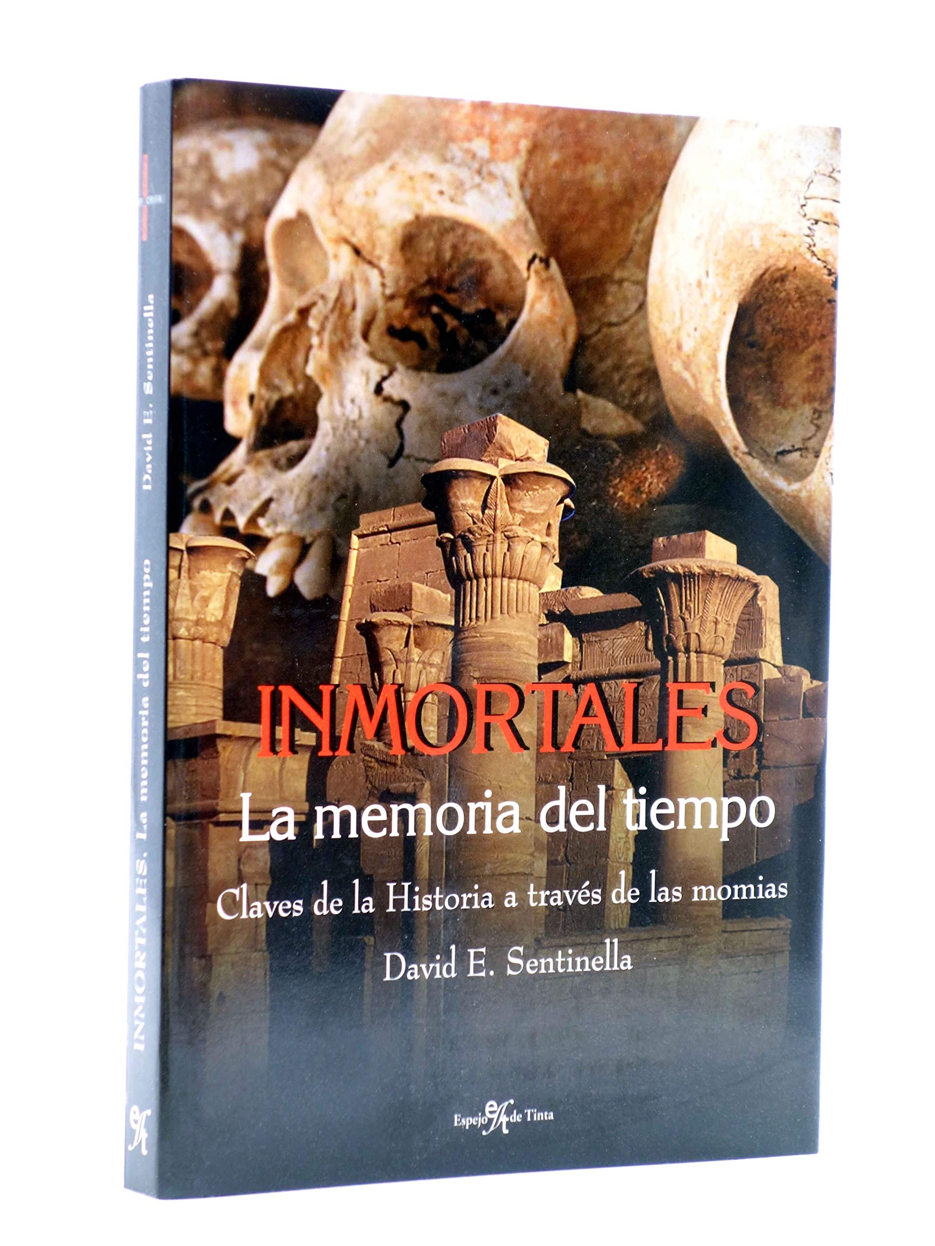 Inmortales. la memoria del tiempo book