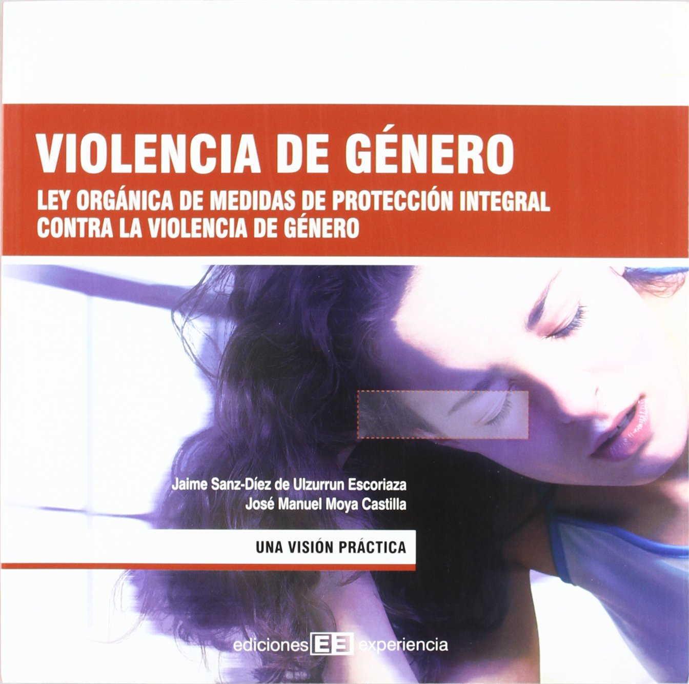 Violencia de género: Ley Orgánica de medidas de protección integral contra la violencia de género book