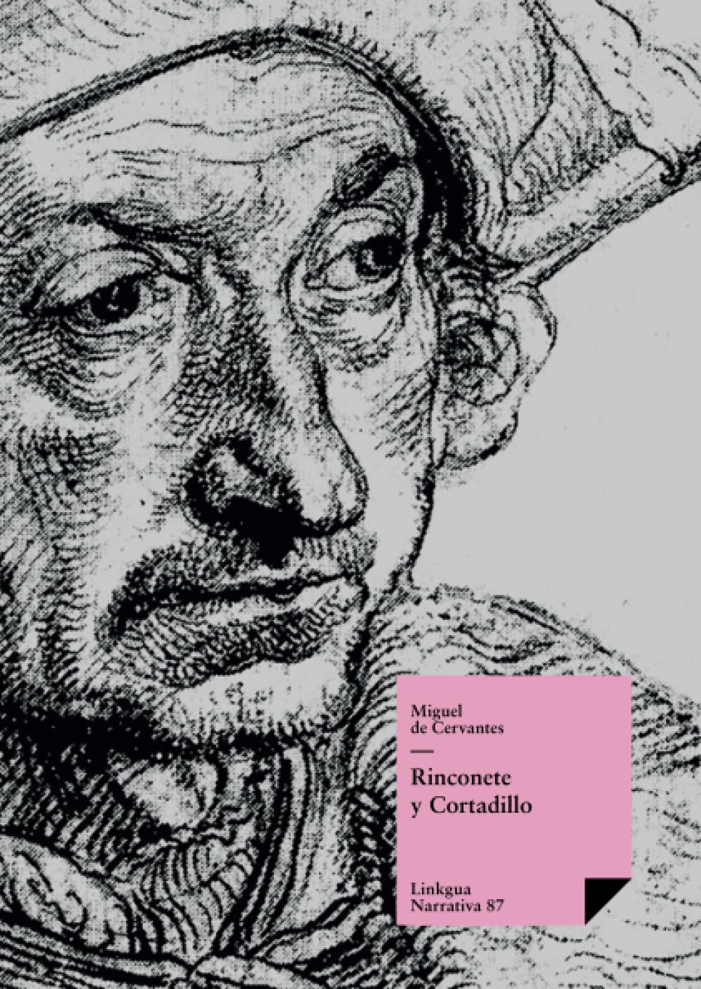 Rinconete y Cortadillo Essays & Short Stories