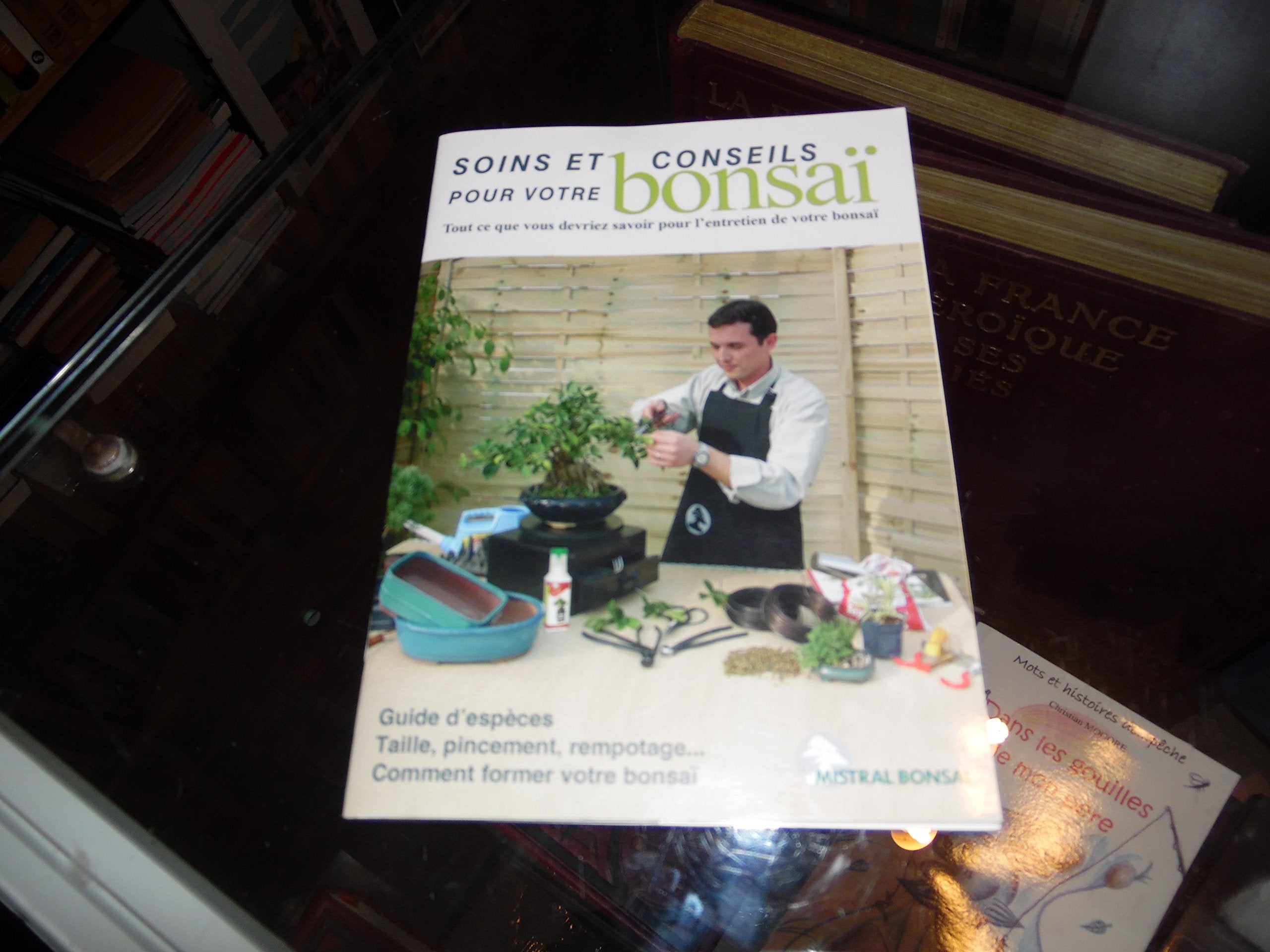 Soins et conseils pour votre bonsaï book