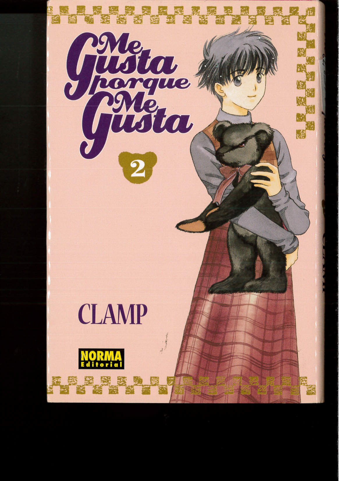 ME GUSTA PORQUE ME GUSTA Nº2 book