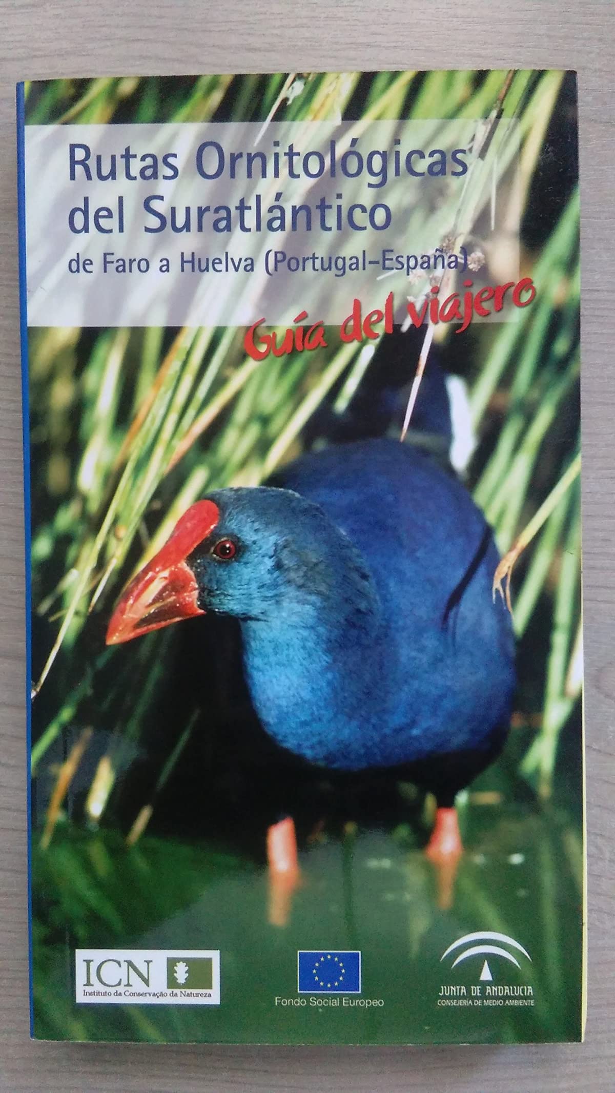 Rutas ornitológicas del suratlántico de Faro a Huelva book