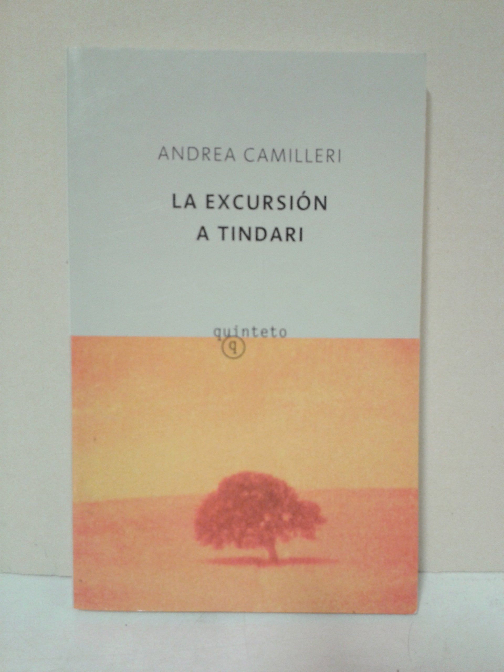 La excursion a Tindari / The trip to Tindari book