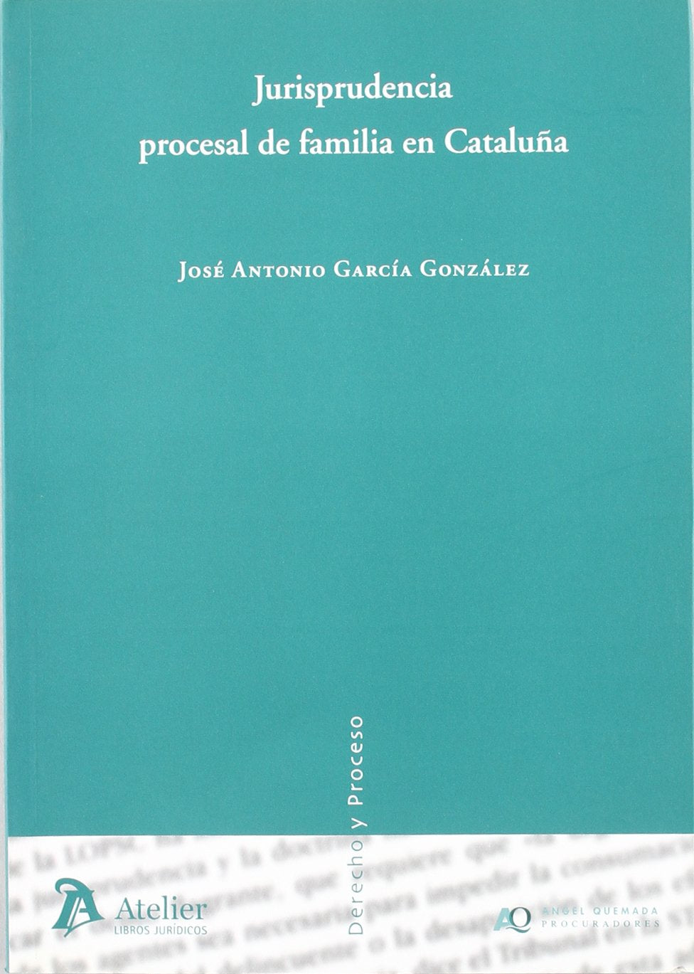 Jurisprudencia procesal de familia en cataluña. book