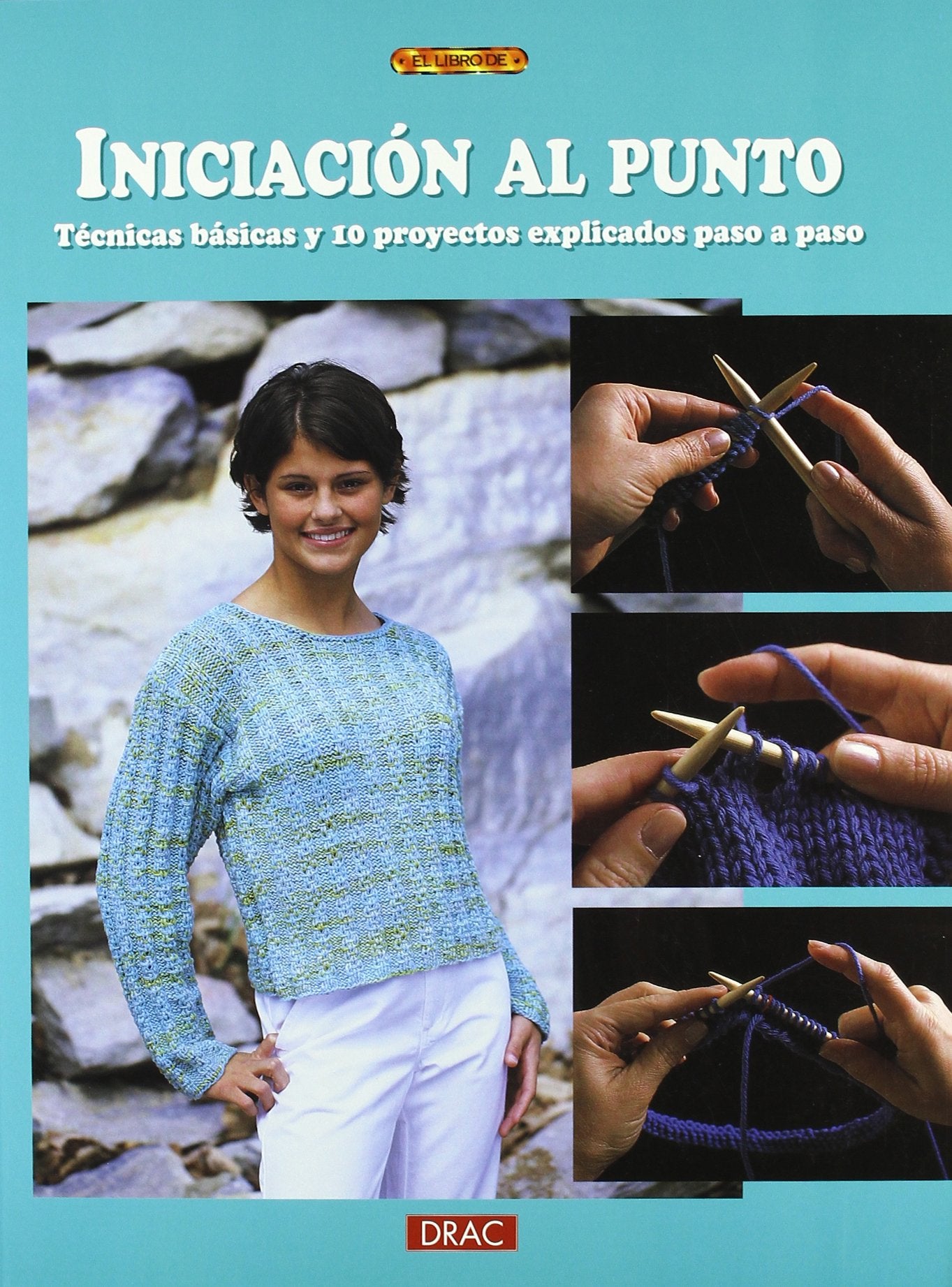 Iniciación al punto : técnicas básicas y 10 proyectos explicados paso a paso Film, Art & Culture