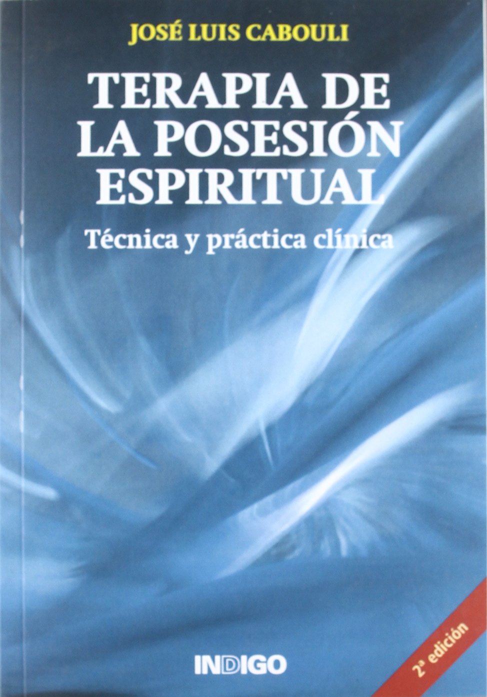 Terapia de la posesión espiritual : técnica y práctica clínica Learning & Reference