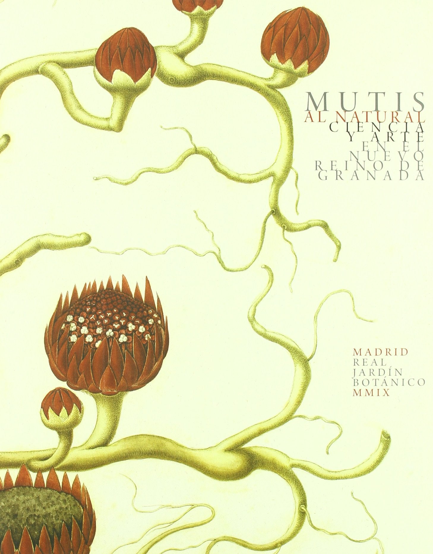 Mutis al natural/ Natural Mutis: Ciencia Y Arte En El Nuevo Reino De Granada/ Science and Art in the New Kingdom of Granada Business & Technology