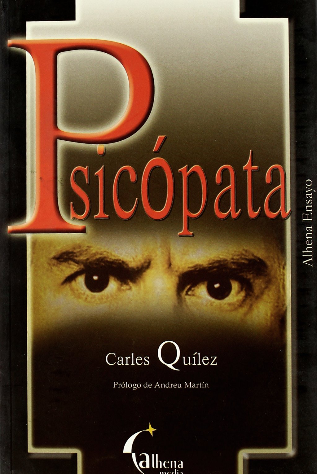 Psicópata : un relato basado en personajes y situaciones reales Contemporary literature