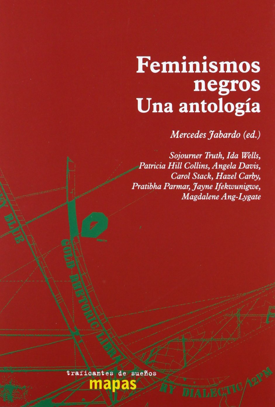 Feminismos negros : una antología book