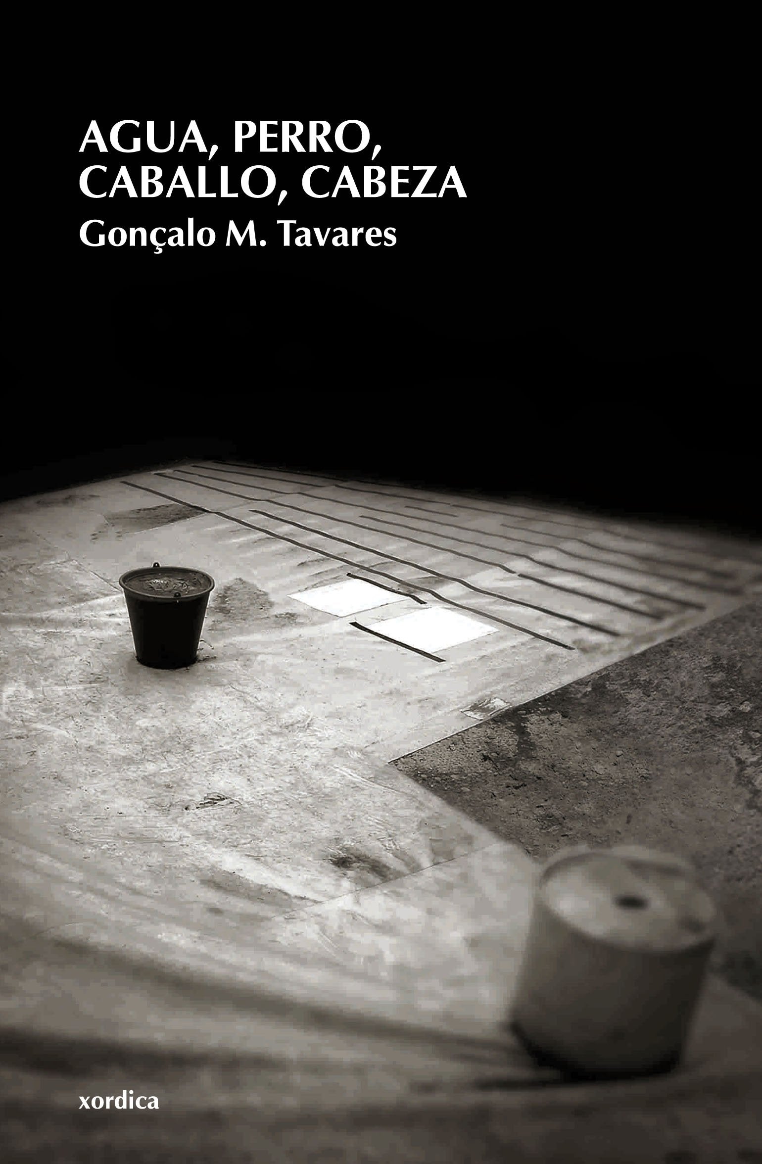 Agua, perro, caballo, cabeza Contemporary literature