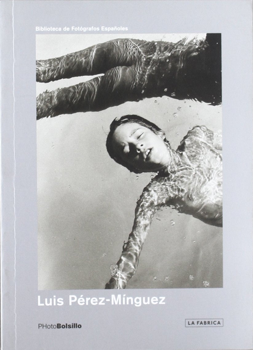 Luis Pérez-Mínguez Social Sciences Books