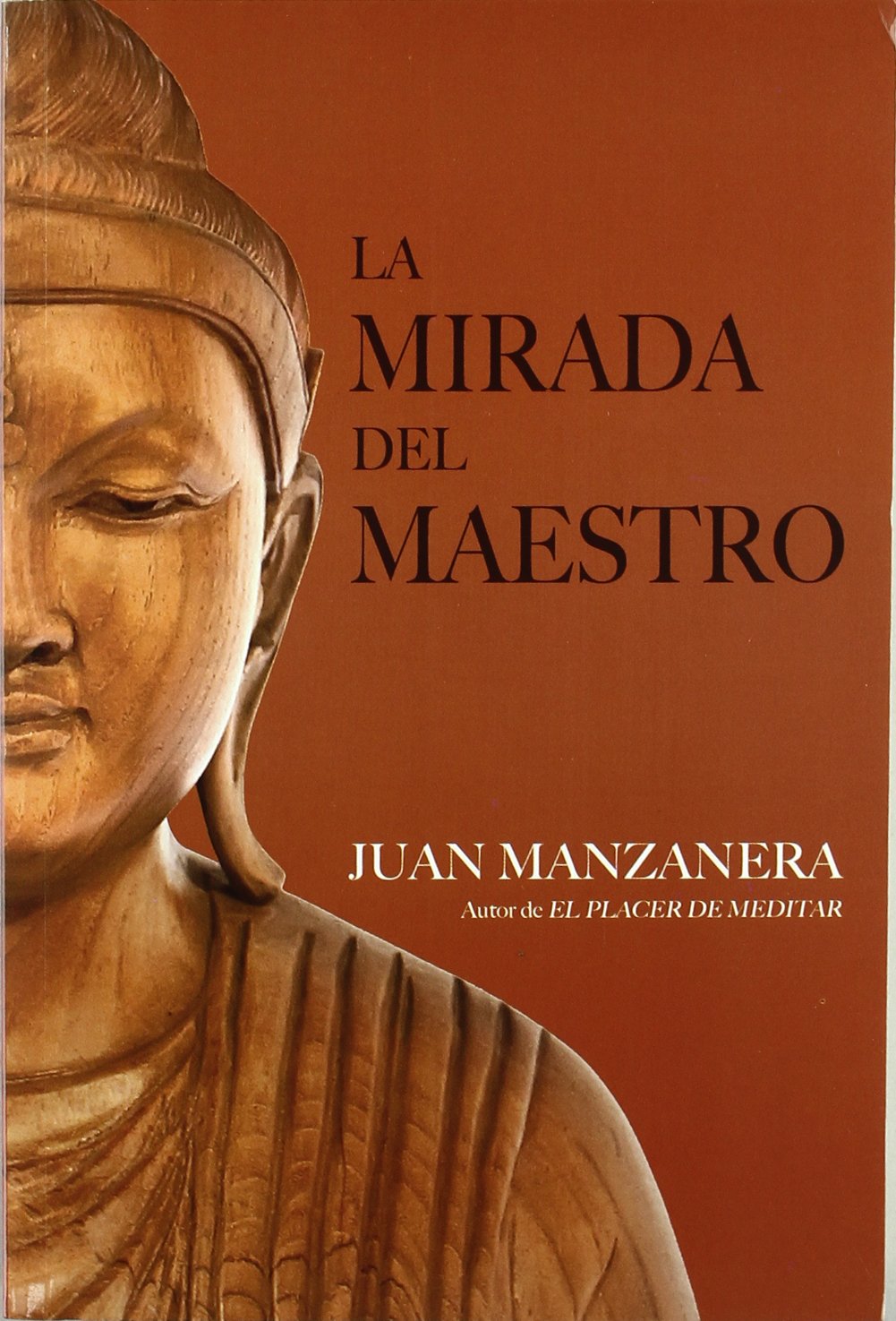 La mirada del maestro book